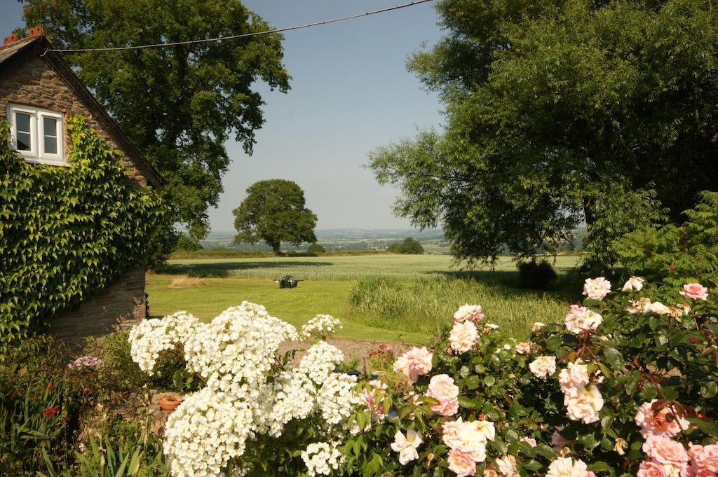 Hills Farm Bed & Breakfast Leominster Cameră foto